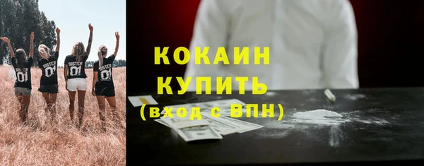 мяу мяу мука Горняк