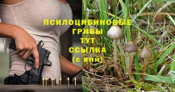 синтетический гашиш Алексин